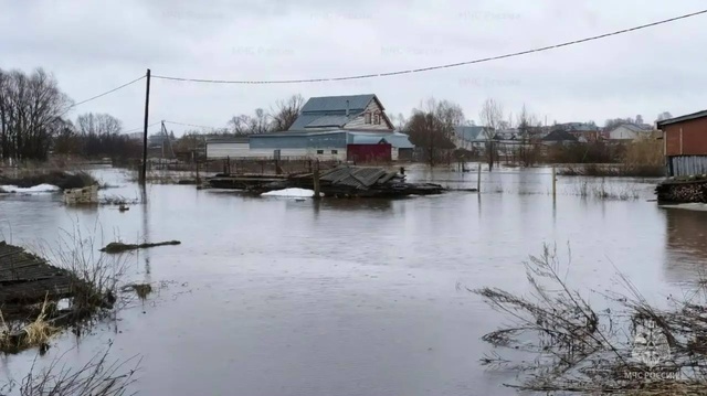 «Контактри» сӑн