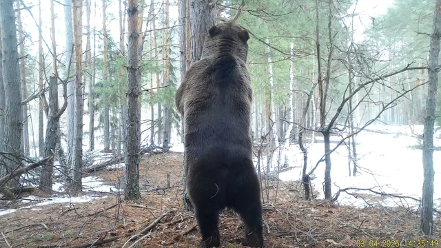 «Контактри» сӑн