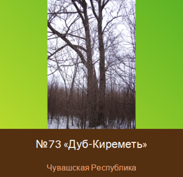 rosdrevo.ru сайтран илнӗ скриншот