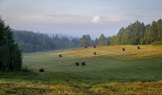photocentra.ru сайтри сӑн