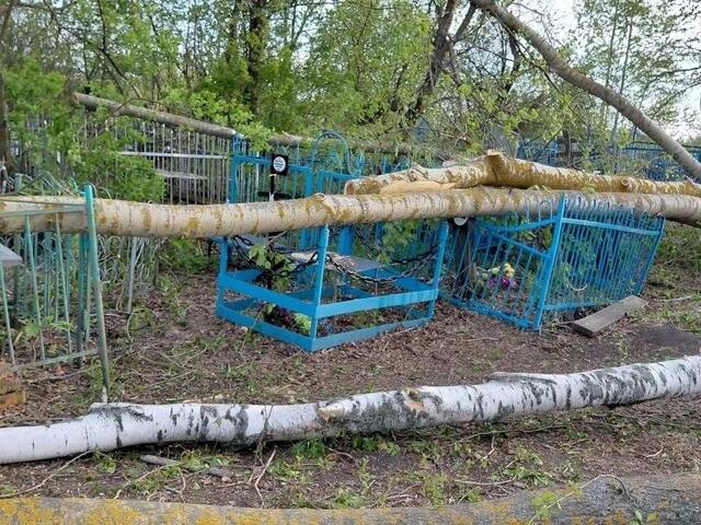pravdapfo.ru сайтран илнӗ сӑнӳкерчӗк