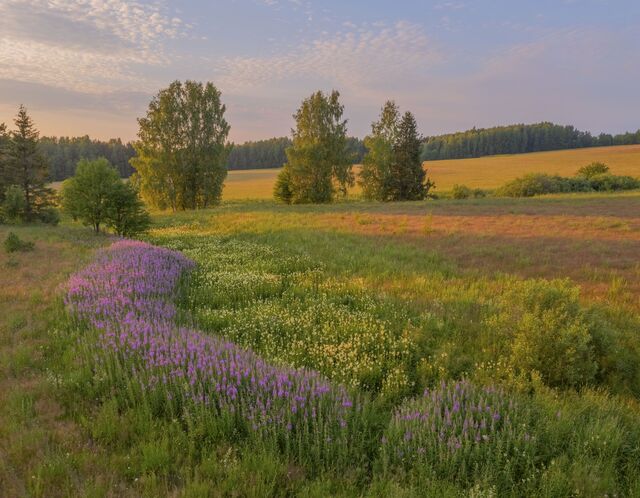35photo.pro сайтри сӑн