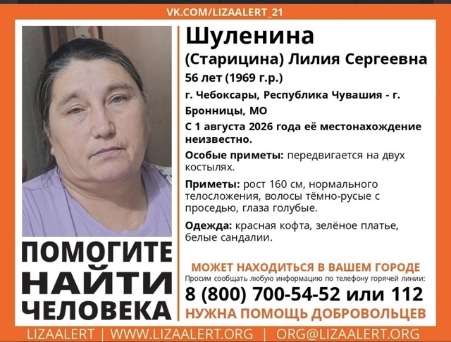 «Лиза Алерт» сӑнӳкерчӗкӗ