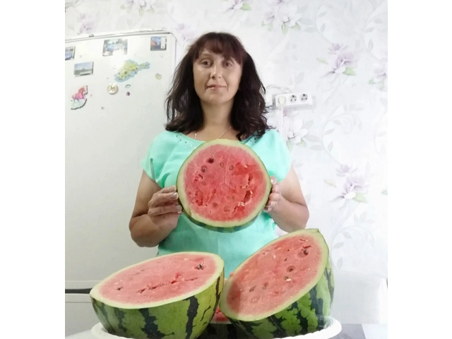 «Чӑваш Ен» пабликри сӑнӳкерчӗк