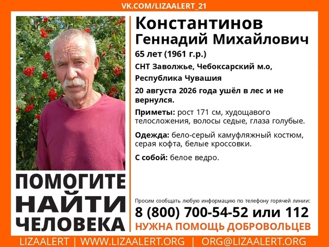 «Лиза Алерт» шыравпа ҫӑлав отрячӗн архивӗнчи сӑн
