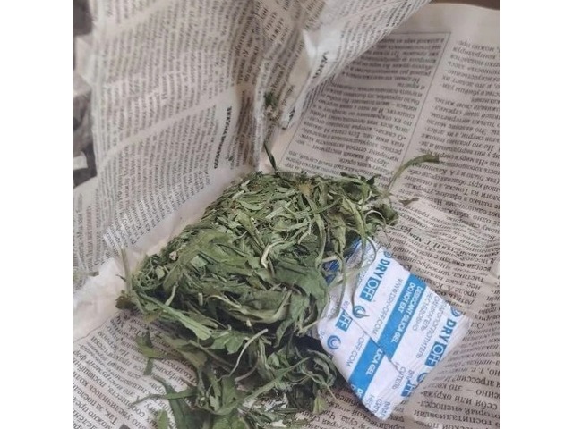 ШӖМ тунӑ сӑн