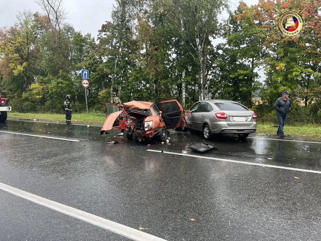 Патшалӑх автоинспекцийӗ тунӑ сӑн