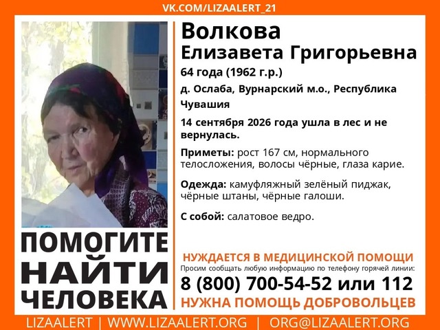 «Лиза Алерт» шыравпа ҫӑлав отрячӗн архивӗнчи сӑн