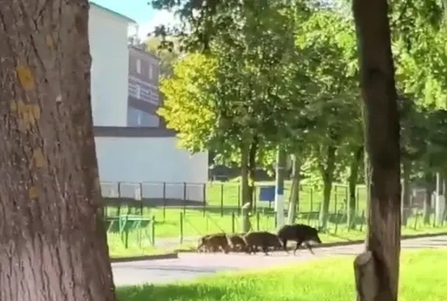 «Ҫыхӑнура» порталти сӑн