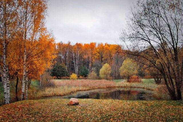 photocentra.ru сайтри сӑн