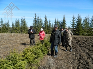 Тӗрӗслевҫӗсем хунавсне тӗрӗслеҫҫӗ