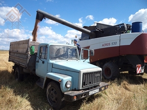 Йӗпреҫсем — вырмара